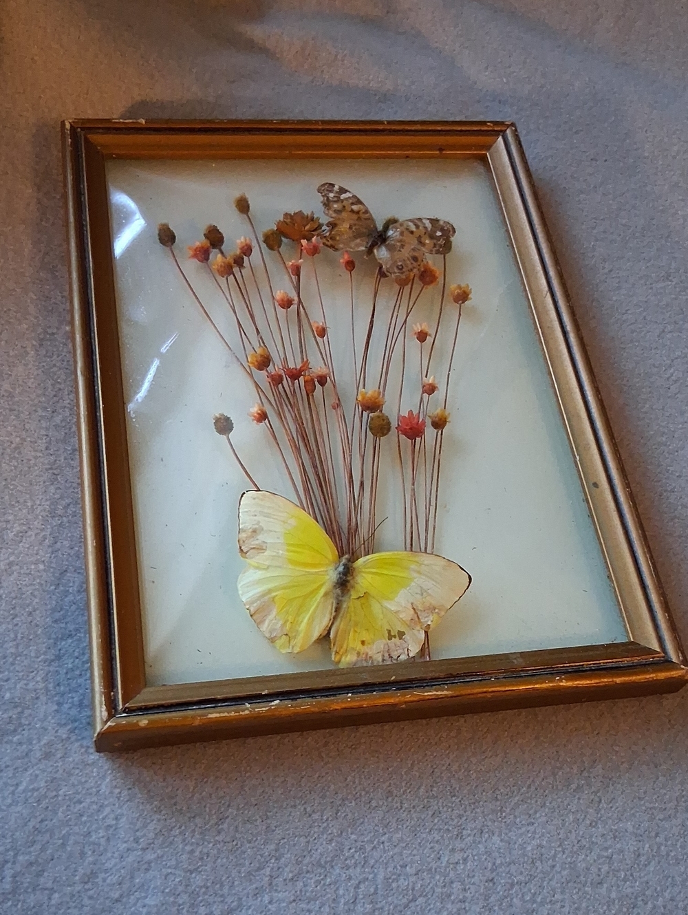 Vintage 1970s Yellow Butterfly in Convex Glass Frame